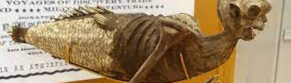 Mermaids: Literature & the Environment