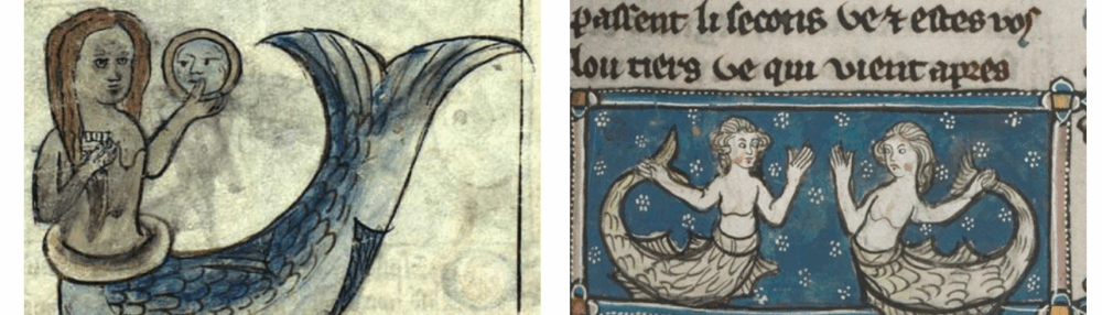 Mermaids: Literature & the Environment